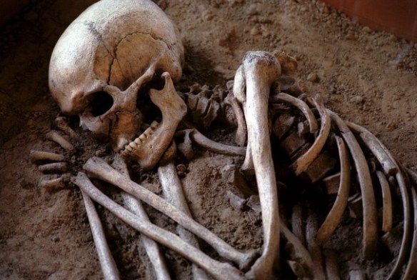 sleeping skeleton
