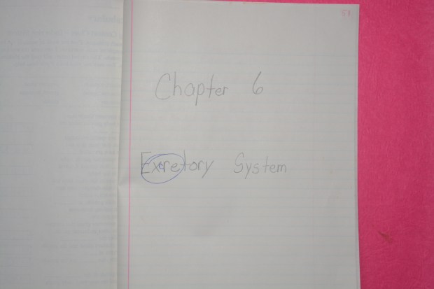 Chapter 6