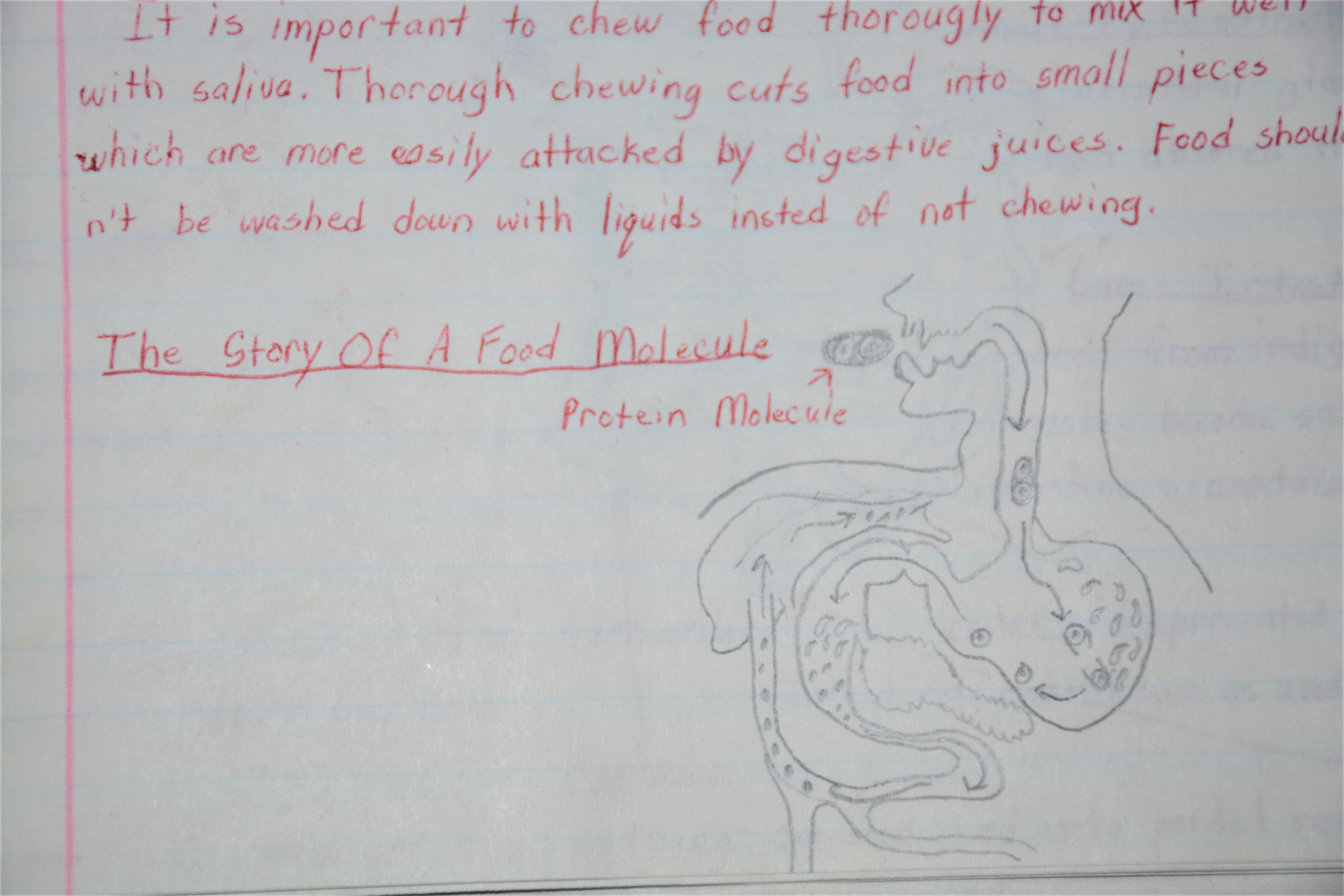 Food molecule