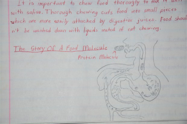 Food molecule