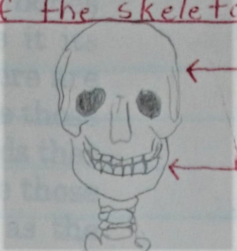 Grin