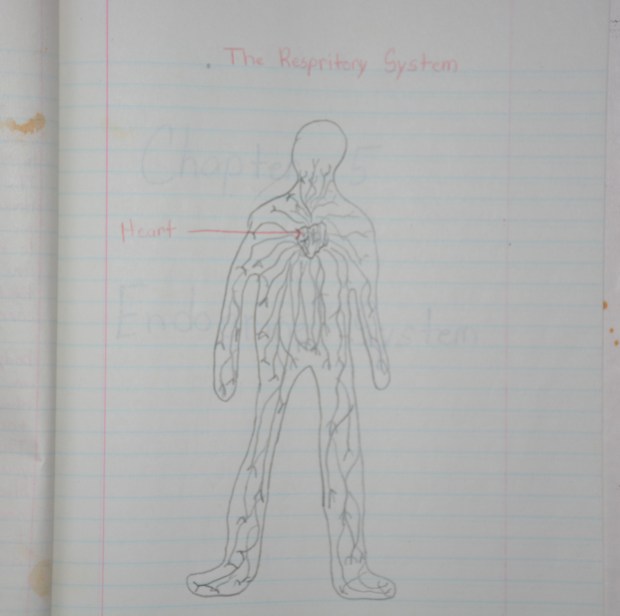 Respiratory system
