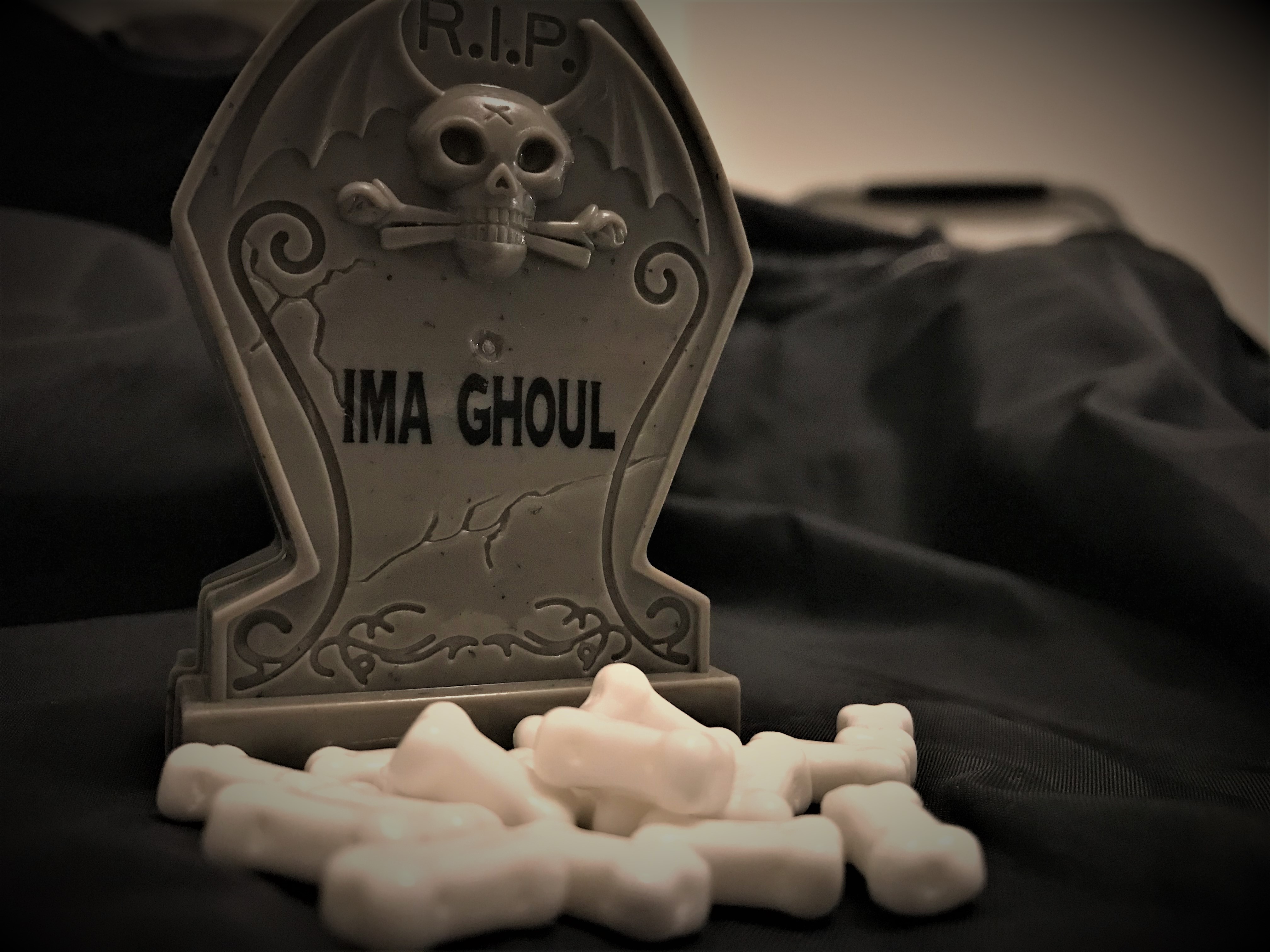 IMG-0089